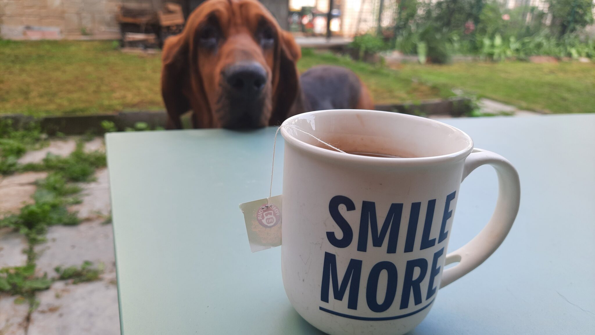 Un maestro disobbediente